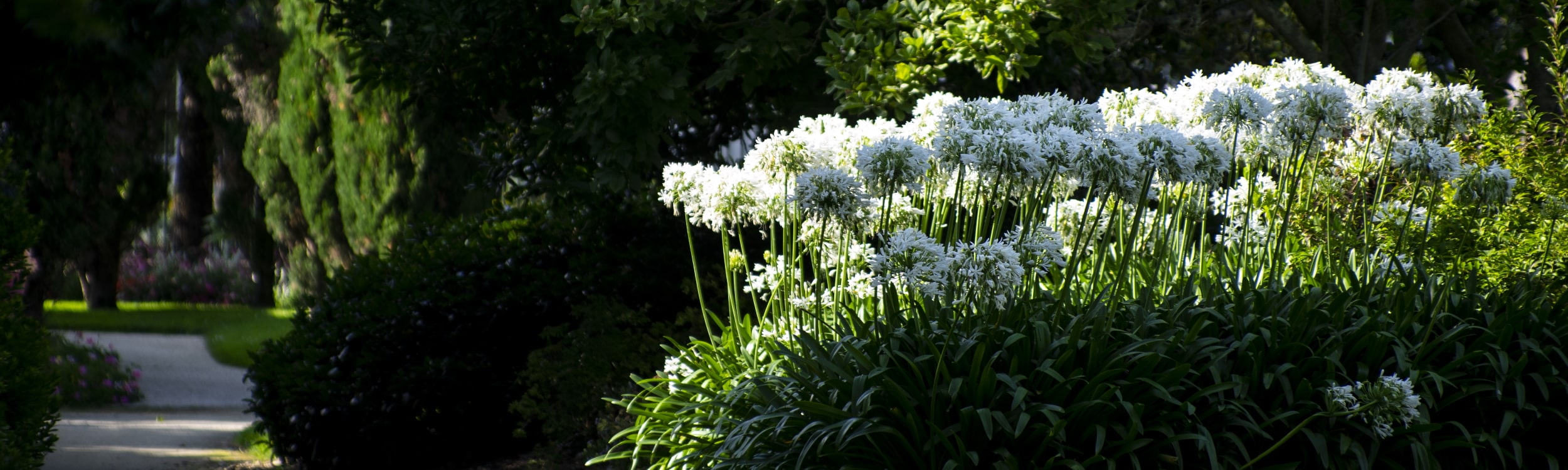 Les ateliers de la Société Horticole