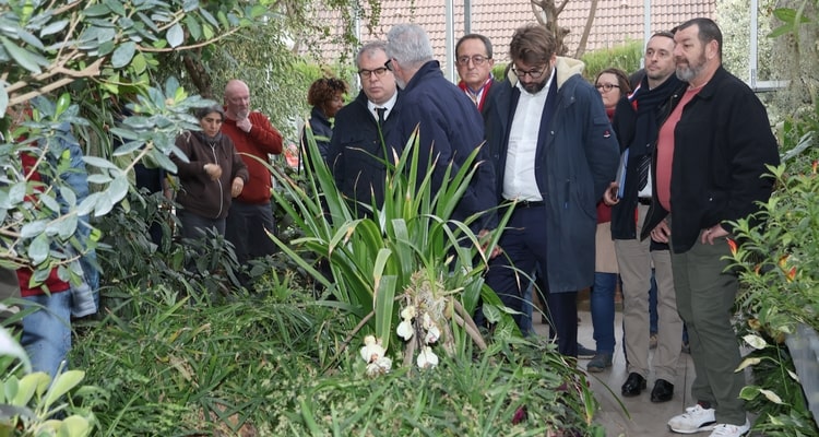 25_Ser-B-Boissier-06-min